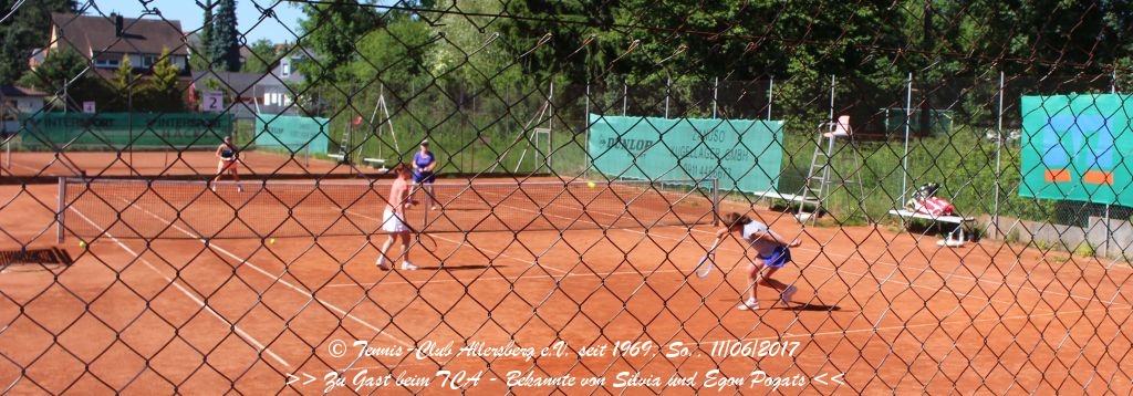 2017_0611_tca_ev__freundschaftsspiel_gegen_bekannte_von_pogats_0000008.jpg