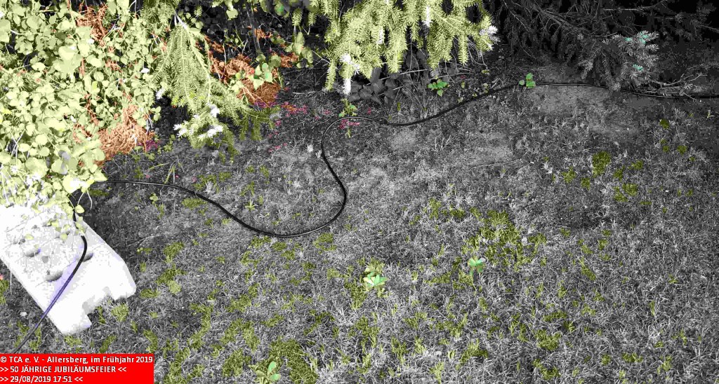 2019_0829_tca_ev__50_jaehriges_jubilaeum_stromleitungen_kabel_verlegen_sowie_zeltgarnituren_aufstellen_00000006.jpg